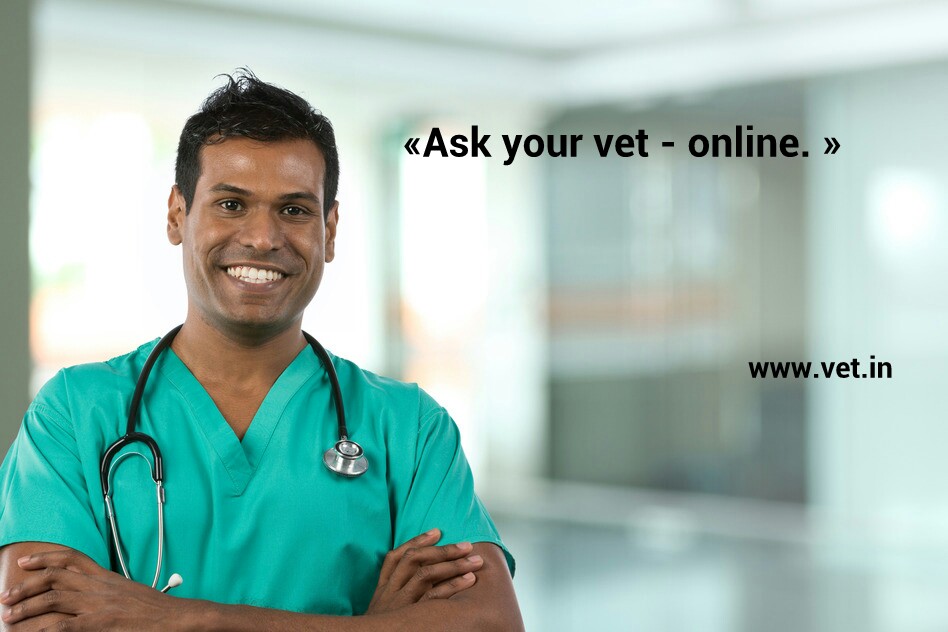 35 Veterinary jobs in Hyderabad – Veterinary Search Engine & Jobboard